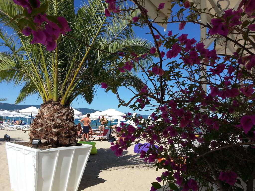 Menada Apartments In Karolina Sunny Beach Buitenkant foto